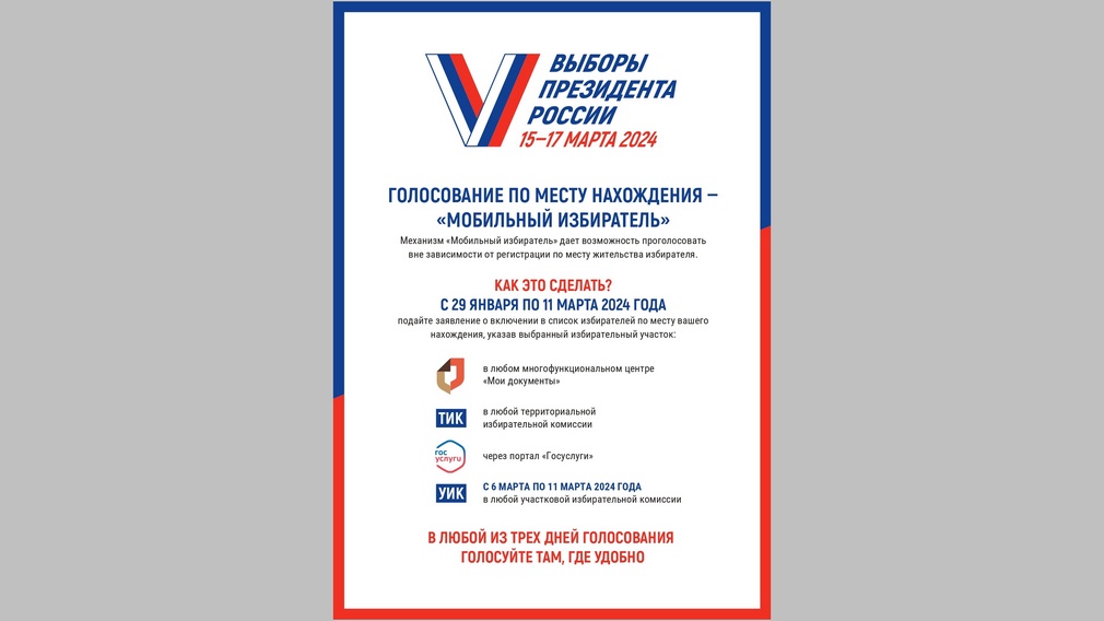 Мобильный избиратель.jpg